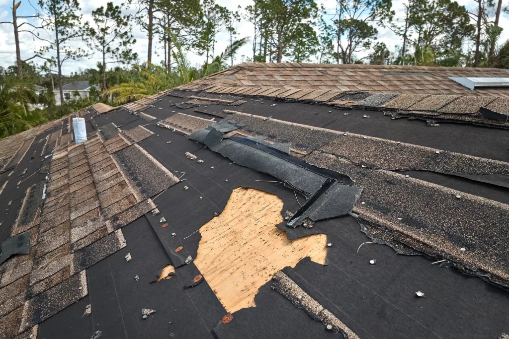wind damage