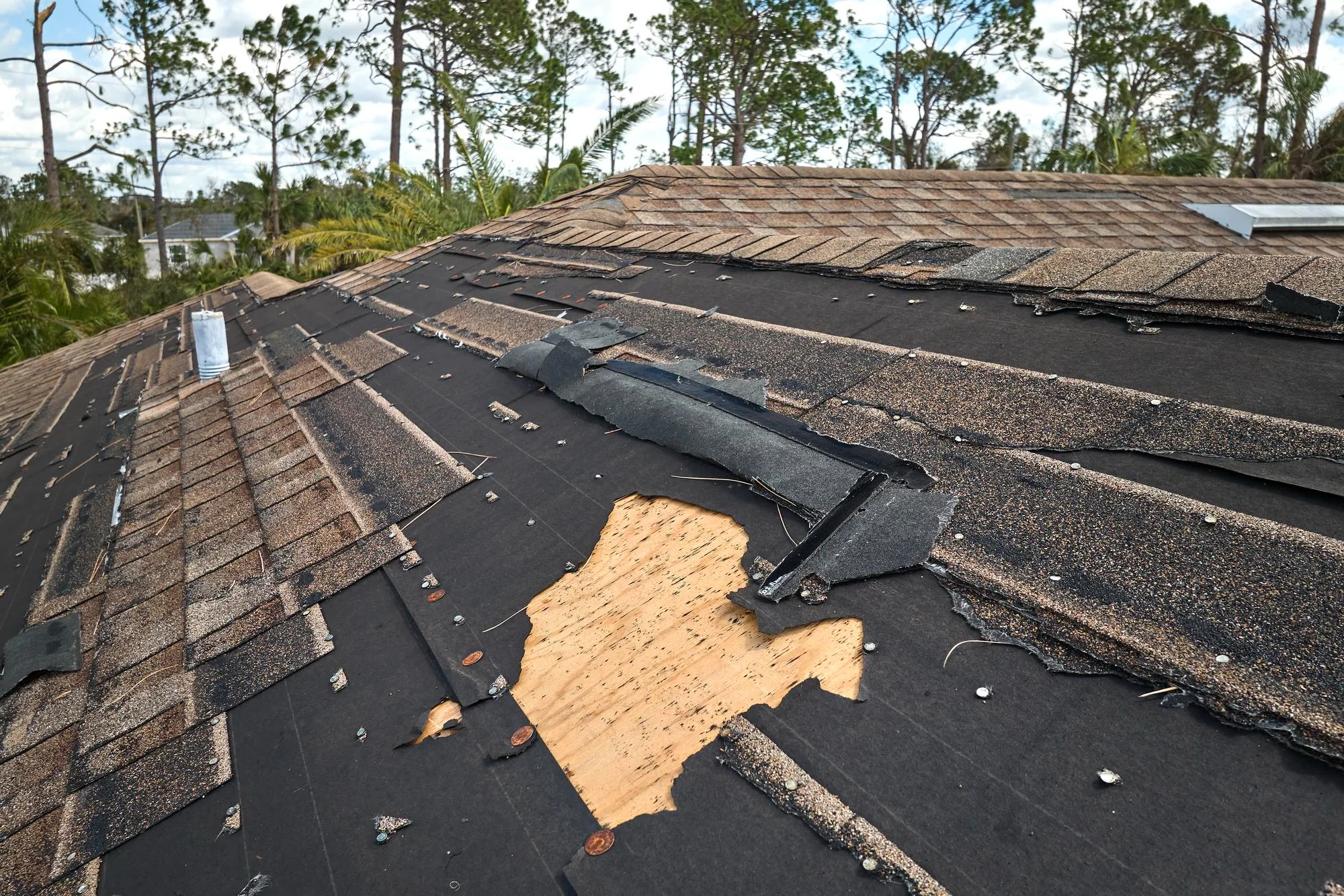 wind damage