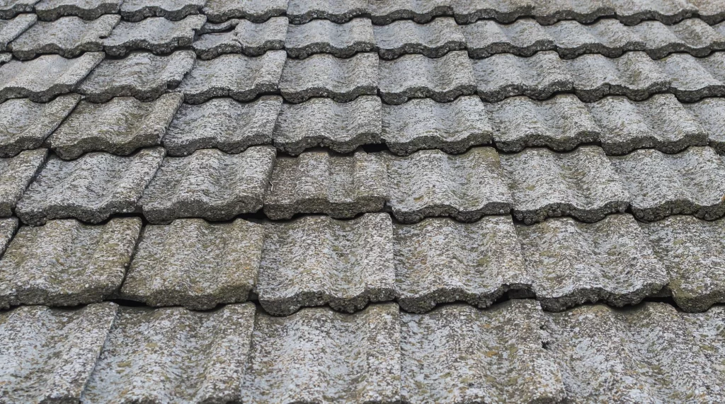 Shingle Roofs