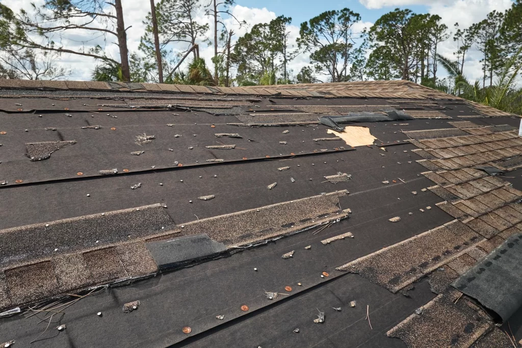 wind damage