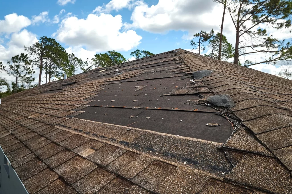 wind damage