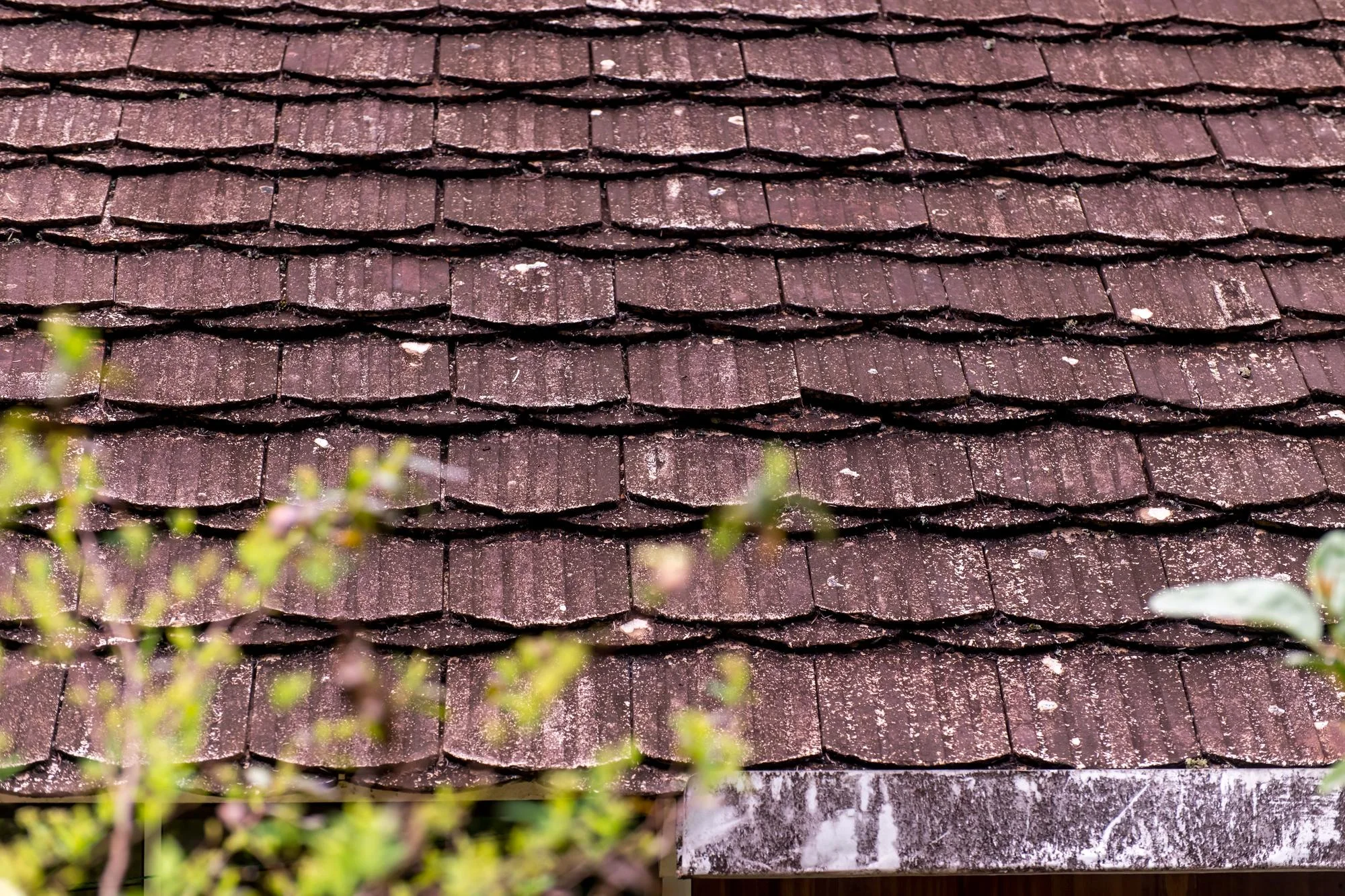 Hail damage