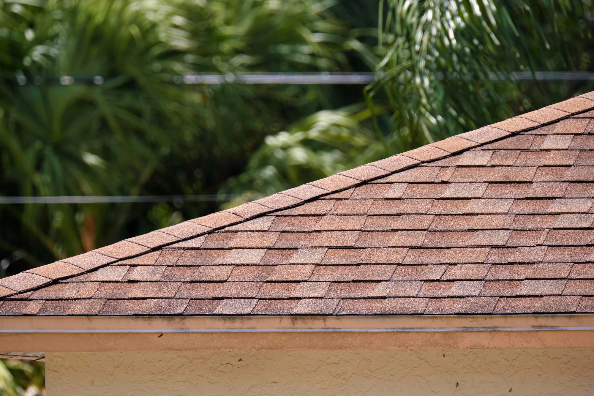 Three-Tab Shingles in Solon Springs